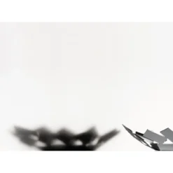 Alessi Schale 24,5 x 23,2 cm weiss La Stanza dello Scirocco