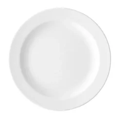 Arzberg Speiseteller 25cm Fahne Form 1382 weiß