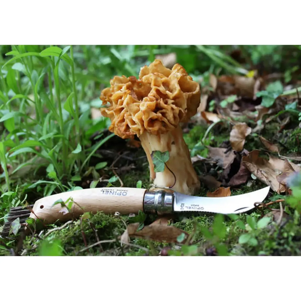 Opinel Pilzmesser N°08 8 cm Buche