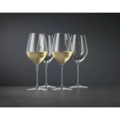 Spiegelau Universalglas 2er-Set Hi-Lite klar