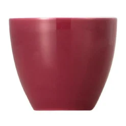 Thomas Eierbecher Sunny Day Fuchsia